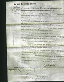 Court of Common Pleas - Jane Jones-Original Ancestry