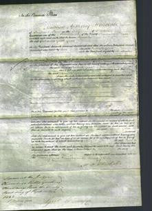 Court of Common Pleas - Jannette Glass-Original Ancestry