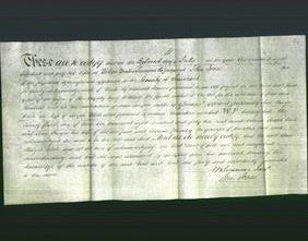 Deed by Married Women - Ann Sturges White-Original Ancestry