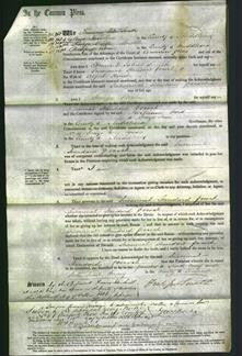 Court of Common Pleas - Susannah Standard Pocock Hunt-Original Ancestry