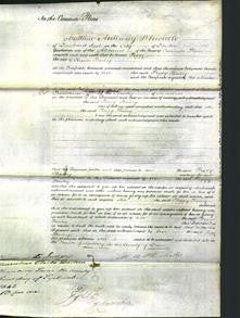 Court of Common Pleas - Peggy Bailey-Original Ancestry