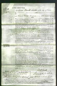 Court of Common Pleas - Harriet Denziloe-Original Ancestry