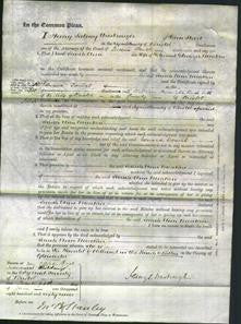 Court of Common Pleas - Sarah Ann Meakin-Original Ancestry