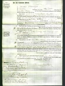 Court of Common Pleas - Ann Simpson, Mary Wheat Smallwood, Eliza Copeland and Sarah Goodfellow-Original Ancestry