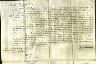Court of Common Pleas - Elizabeth Allen-Original Ancestry