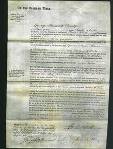 Court of Common Pleas - Emilia Maria Goodlake-Original Ancestry