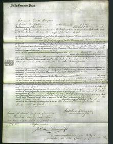 Court of Common Pleas - Mary Ward-Original Ancestry