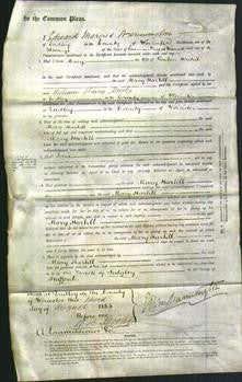 Court of Common Pleas - Mary Hartill-Original Ancestry