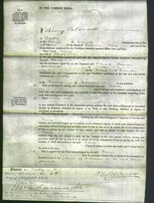 Court of Common Pleas - Nancy Jones-Original Ancestry