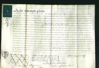 Court of Common Pleas - Amy Cook-Original Ancestry