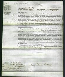 Court of Common Pleas - Elizabeth Smallpiece and Mary Rosewell-Original Ancestry