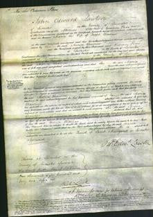 Court of Common Pleas - Maria Chawner-Original Ancestry