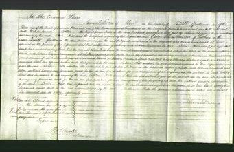 Court of Common Pleas - Esther Hills-Original Ancestry