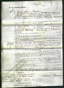 Court of Common Pleas - Jane Richards-Original Ancestry