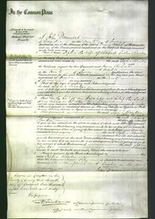 Court of Common Pleas - Sophia Bowden-Original Ancestry