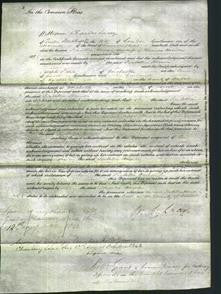 Court of Common Pleas - Isabella Horner-Original Ancestry