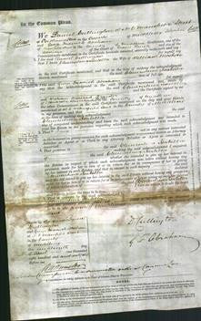 Court of Common Pleas - Clementina Isabella Mostyn-Original Ancestry