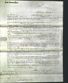 Court of Common Pleas - Ann Stone-Original Ancestry