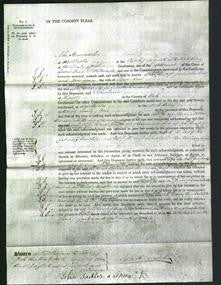 Court of Common Pleas - Ann Raw and Ann Raw-Original Ancestry