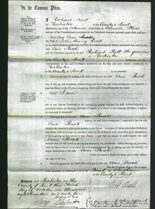 Court of Common Pleas - Ann Ruck-Original Ancestry