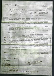 Court of Common Pleas - Mary Shelbourne-Original Ancestry