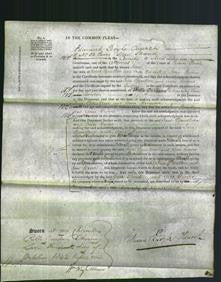 Court of Common Pleas - Jane Spendlove and Ann Groves-Original Ancestry