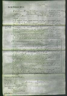 Court of Common Pleas - Ann Blyth-Original Ancestry