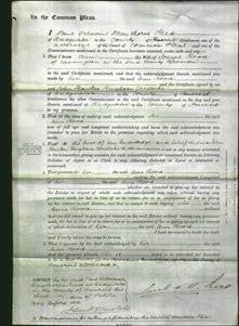 Court of Common Pleas - Ann Rood-Original Ancestry