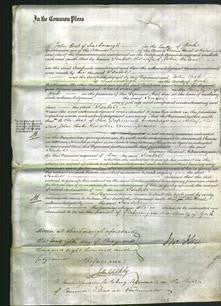 Court of Common Pleas - Isabel Watson-Original Ancestry