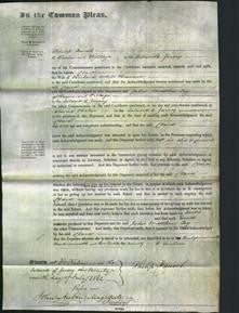 Court of Common Pleas - Clara Harrison-Original Ancestry