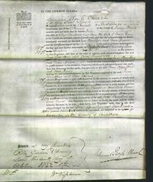 Court of Common Pleas - Jane Spendlove and Ann Groves-Original Ancestry