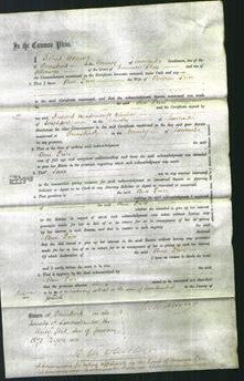 Court of Common Pleas - Ann Price-Original Ancestry