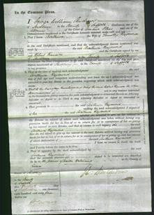 Court of Common Pleas - Arethusa Raymond-Original Ancestry