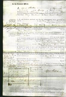 Court of Common Pleas - Mary Hawkins Rowse-Original Ancestry