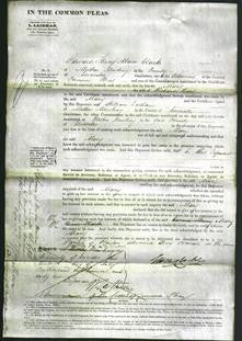 Court of Common Pleas - Mary Hart-Original Ancestry