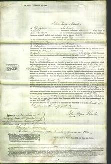 Court of Common Pleas - Judith Pigg-Original Ancestry