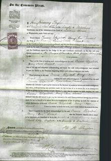 Court of Common Pleas - Frances Elizabeth Mary Ann Vincent-Original Ancestry