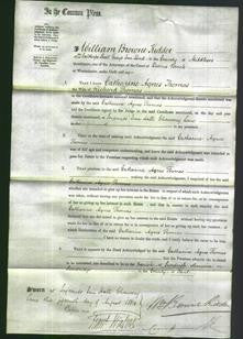 Court of Common Pleas - Catharine Agnes Thomas-Original Ancestry