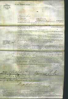 Court of Common Pleas - Caroline Augusta Newton-Original Ancestry