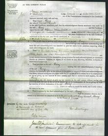 Court of Common Pleas - Mary Pringle-Original Ancestry