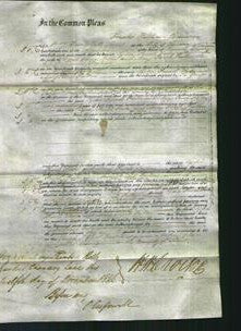 Court of Common Pleas - Lydia Finch Foster and Mary Finch Fulton-Original Ancestry