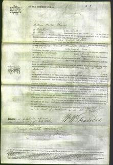 Court of Common Pleas - Ann Stephens-Original Ancestry