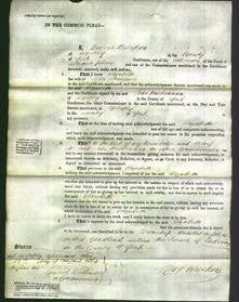 Court of Common Pleas - Elizabeth Stevenson-Original Ancestry