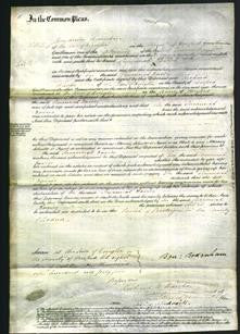Copy of Court of Common Pleas - Susannah Davies-Original Ancestry