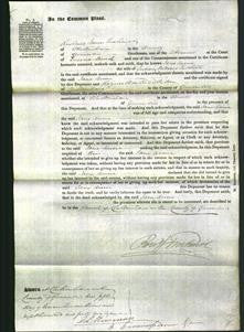 Court of Common Pleas - Jane Anne Tuthill-Original Ancestry