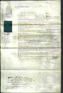 Court of Common Pleas - Nanny King-Original Ancestry