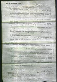 Court of Common Pleas - Mary Hodge-Original Ancestry