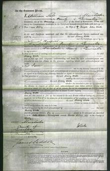 Court of Common Pleas - Mary Watts-Original Ancestry