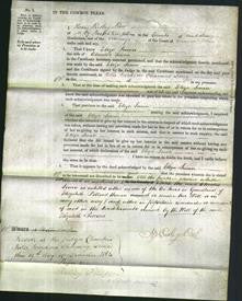 Court of Common Pleas - Eliza Lewin-Original Ancestry