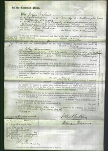 Court of Common Pleas - Mary Sherwell-Original Ancestry